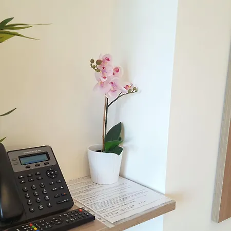 卢克索佛罗伦萨酒店 佛罗伦萨